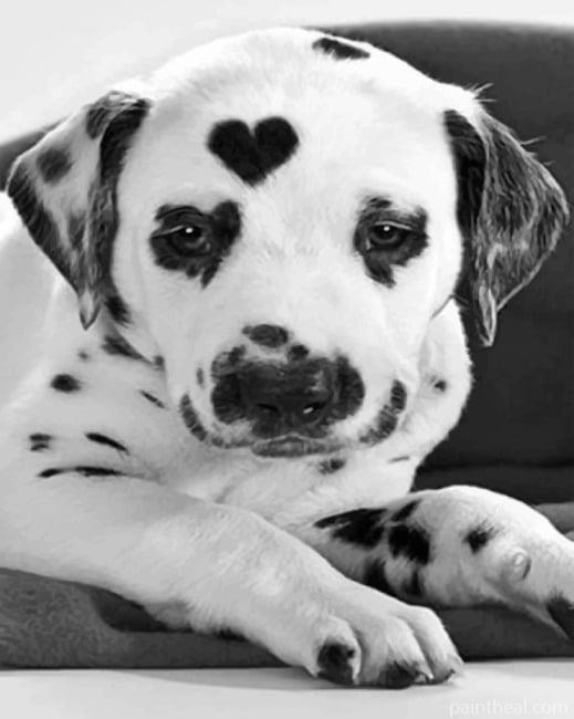 Heart Shaped Dalmatian Painting By Numbers Kits