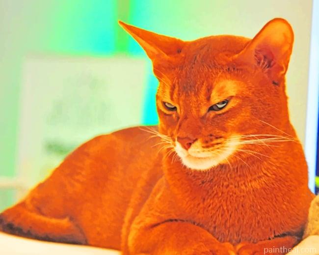 Brown Somali Cat Painting By Numbers Kits