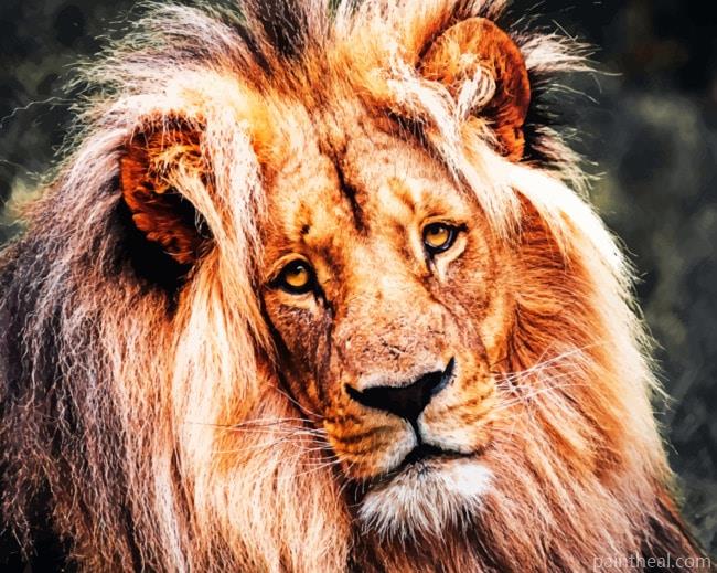Wild Lion Face Painting By Numbers Kits
