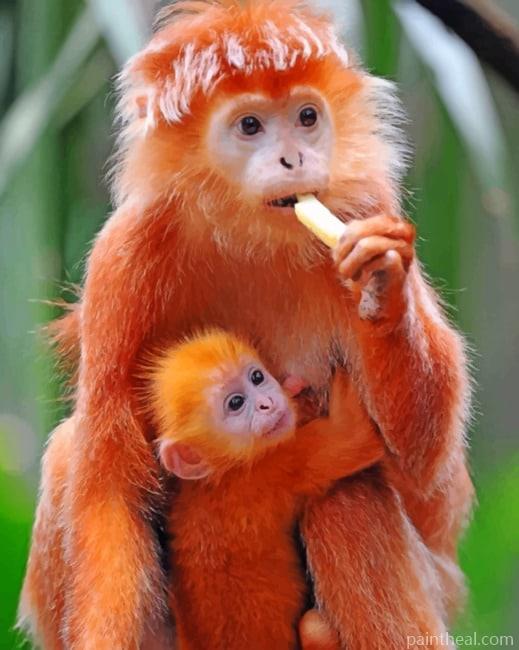 Mom And Baby Monkey Painting By Numbers Kits