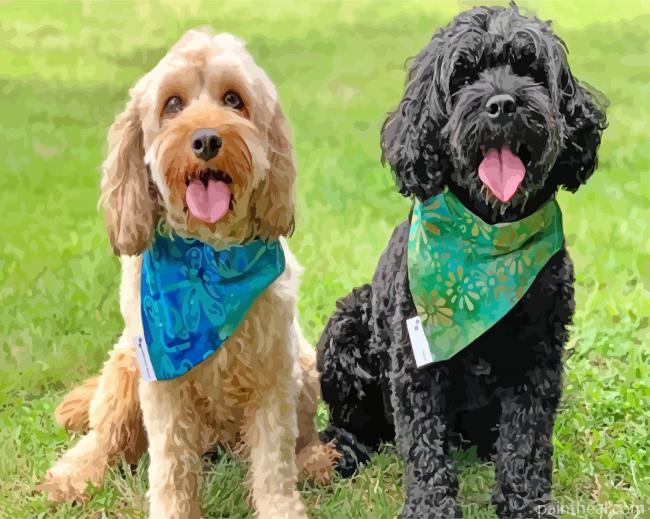 Beige And Black Cavoodle Painting By Numbers Kits