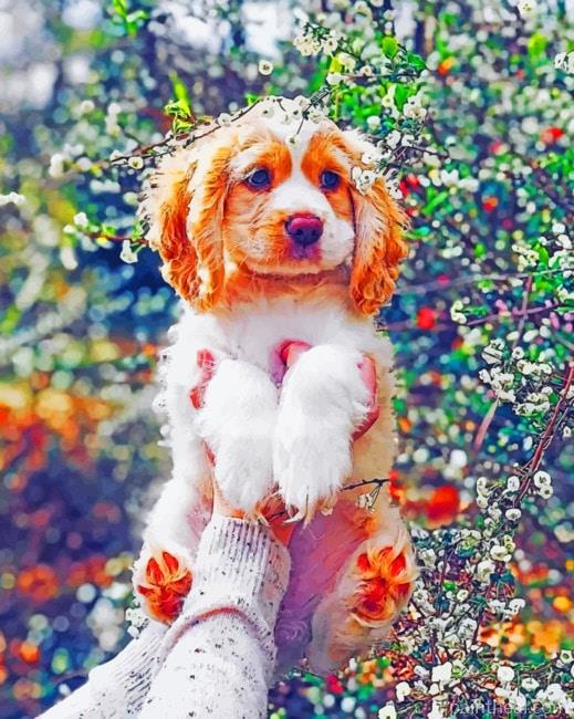 Puppy Dog Painting By Numbers Kits