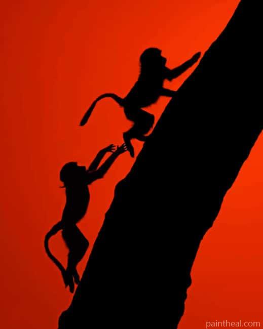Monkeys Silhouette Painting By Numbers Kits