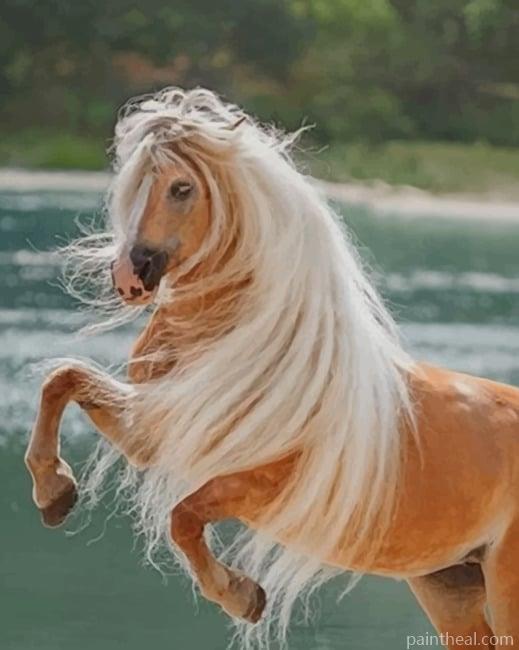 Golden Horse Painting By Numbers Kits