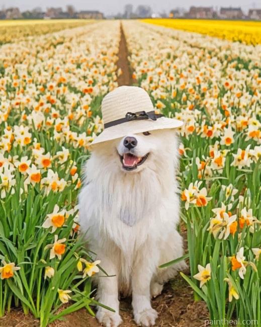 White Samoyed Painting By Numbers Kits