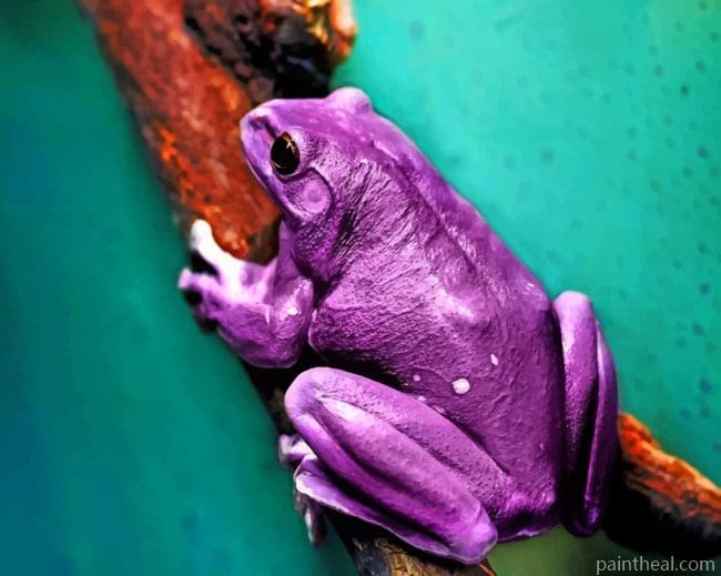 Purple Tree Frog Painting By Numbers Kits