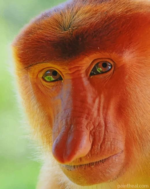 Proboscis Monkey Painting By Numbers Kits