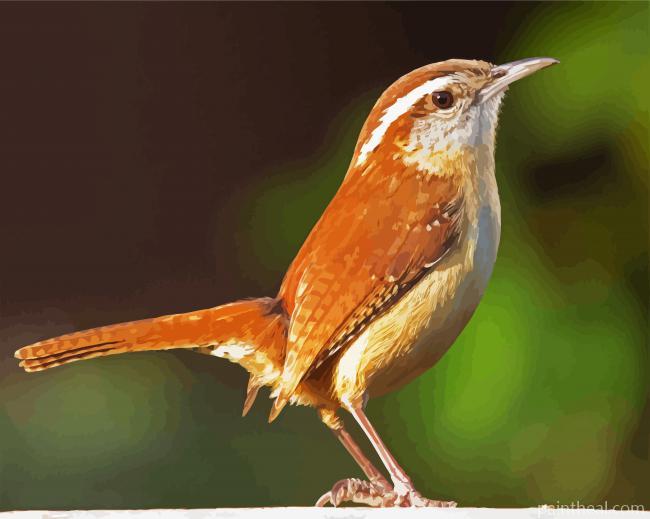 Aesthetic Wren Bird Painting By Numbers Kits