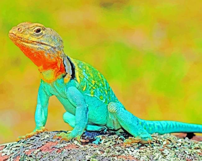 Lizard Amphibian Reptile Painting By Numbers Kits