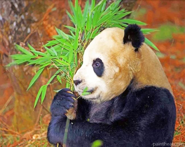 Panda Eating Leaves Painting By Numbers Kits