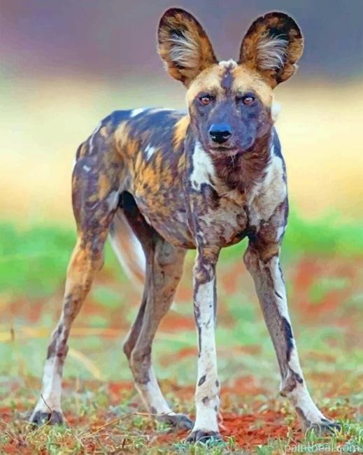 African Wild Dog Painting By Numbers Kits