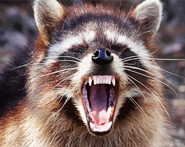 Zombie Racoon Ohio Painting By Numbers Kits
