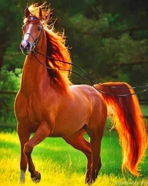 Chestnut Horse Painting By Numbers Kits
