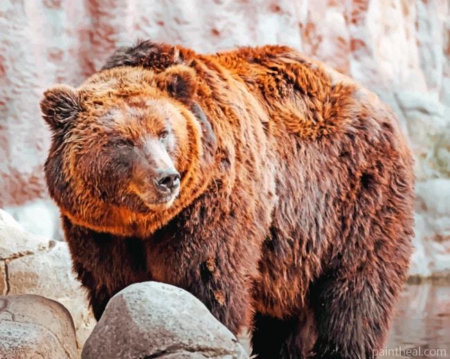 Wild Bear Painting By Numbers Kits
