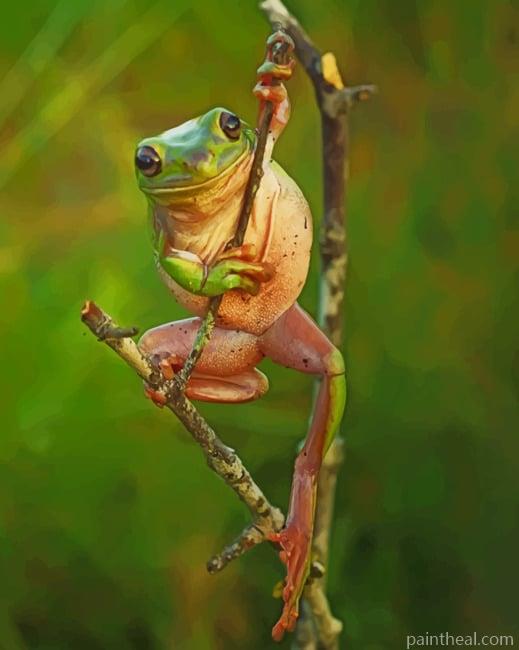 Frog On The Tree Painting By Numbers Kits