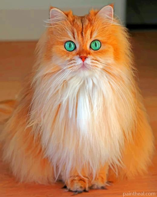 Semi Long Hair Cat Painting By Numbers Kits