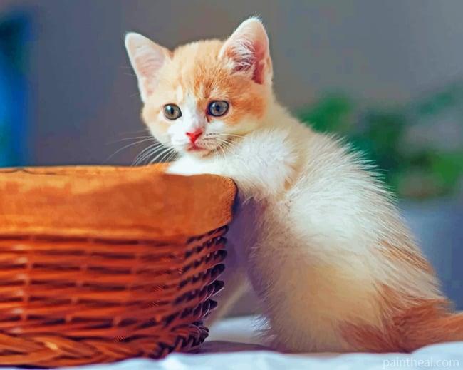 Little Cat Painting By Numbers Kits