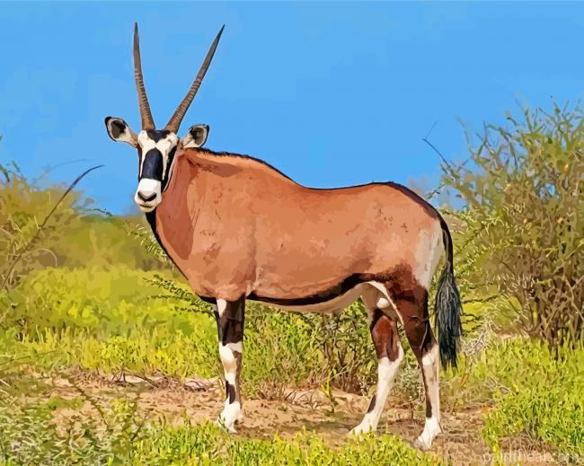 Oryx Animal Painting By Numbers Kits
