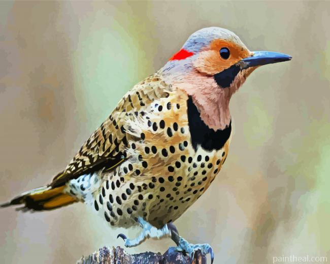 Aesthetic Woodpecker Bird Painting By Numbers Kits