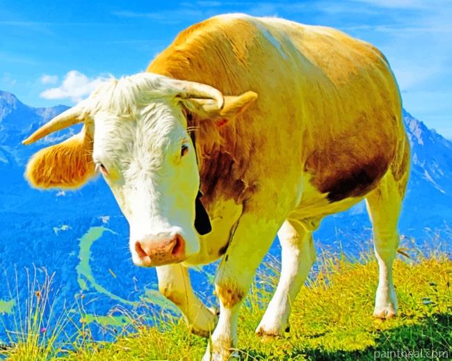 Wild Mountain Cow Painting By Numbers Kits