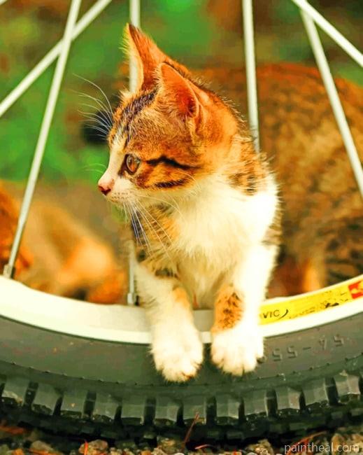 Cat On Bicycle Tier Painting By Numbers Kits