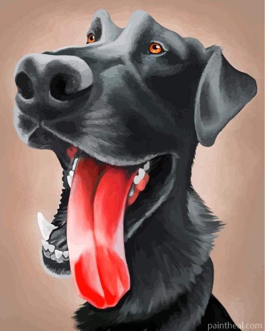 Funny Labrador Dog Painting By Numbers Kits