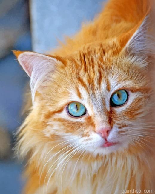 Blue Eyes Cat Painting By Numbers Kits