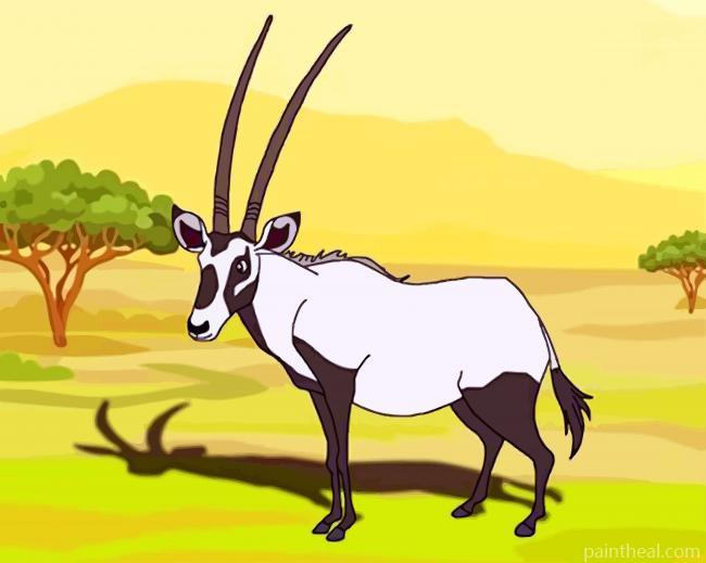 Black And White Oryx Painting By Numbers Kits