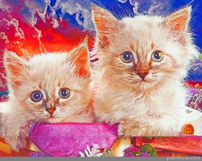 Baby Kittens Painting By Numbers Kits