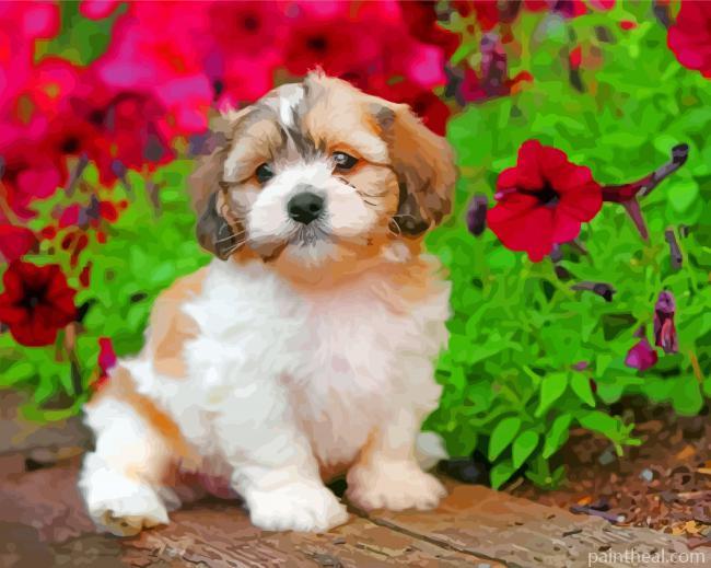 Teddy Bear Shichon by Flowers Painting By Numbers Kits