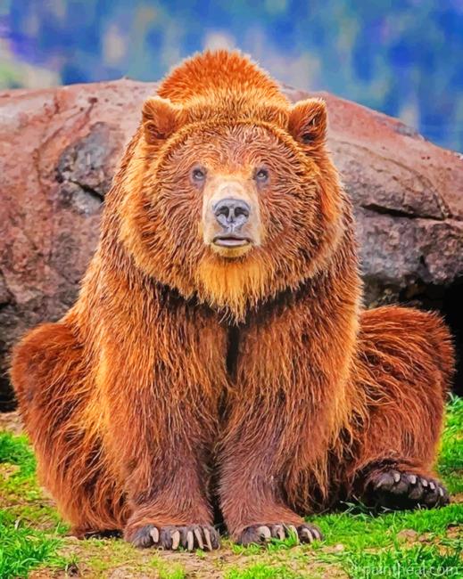 Gizzly Bear Painting By Numbers Kits