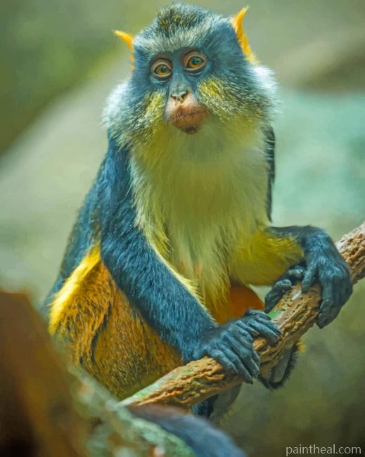 African Monkey Painting By Numbers Kits