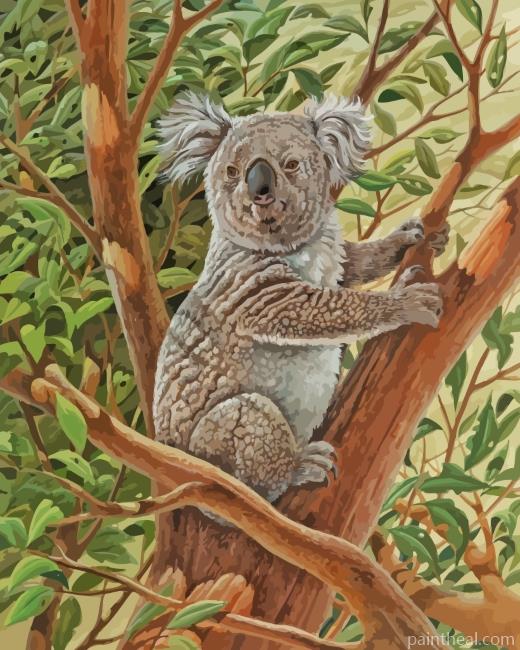 Koala Animal Painting By Numbers Kits