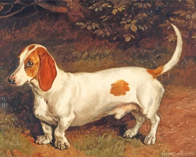 White Brown Dachshund Painting By Numbers Kits