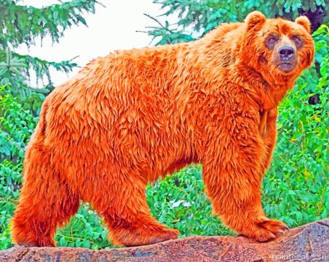Kodiak Bear Animal Painting By Numbers Kits