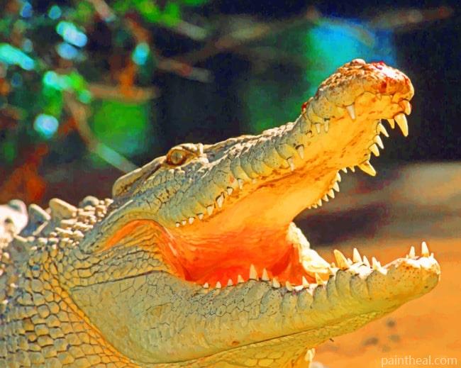 Wild Alligator With Opened Mouth Painting By Numbers Kits