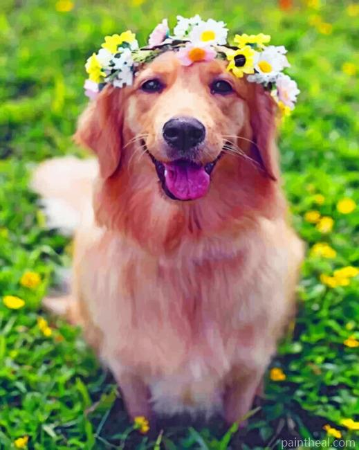 Golden Retriever Painting By Numbers Kits