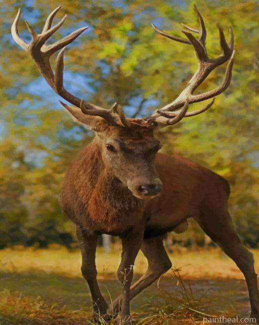 Reindeer In Jungle Painting By Numbers Kits