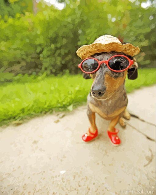 Dachshund With Sunglasses And Hat Painting By Numbers Kits