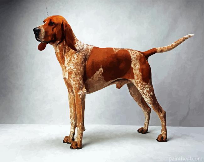 Coonhound Painting By Numbers Kits