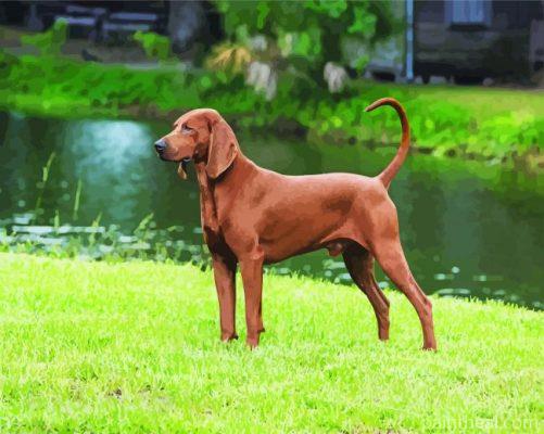 Aesthetic Brown Coonhound Painting By Numbers Kits