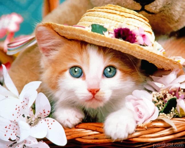 Kitten With Hat Painting By Numbers Kits