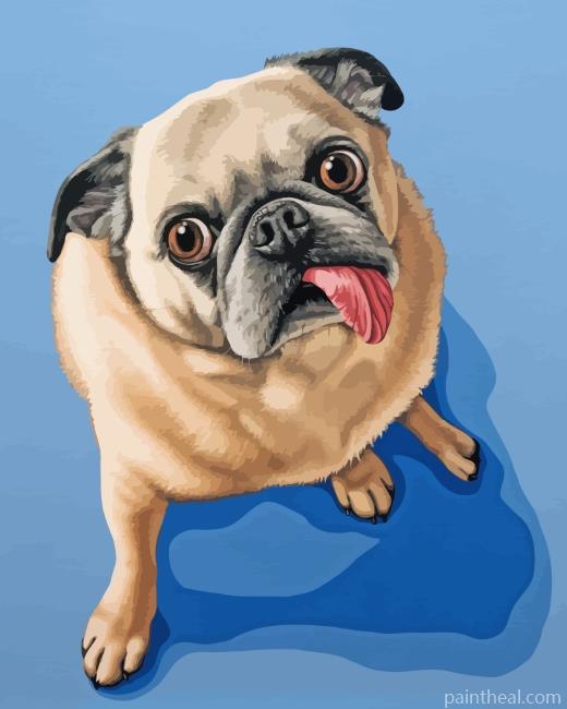Funny Pug Dog Painting By Numbers Kits