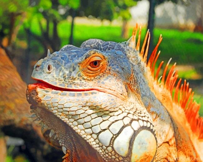 Lizard Animal Painting By Numbers Kits