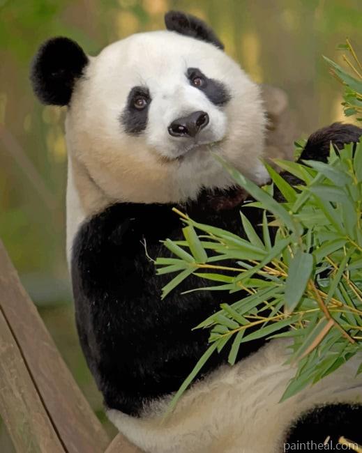 Xiao Liwu Panda On Tree Painting By Numbers Kits