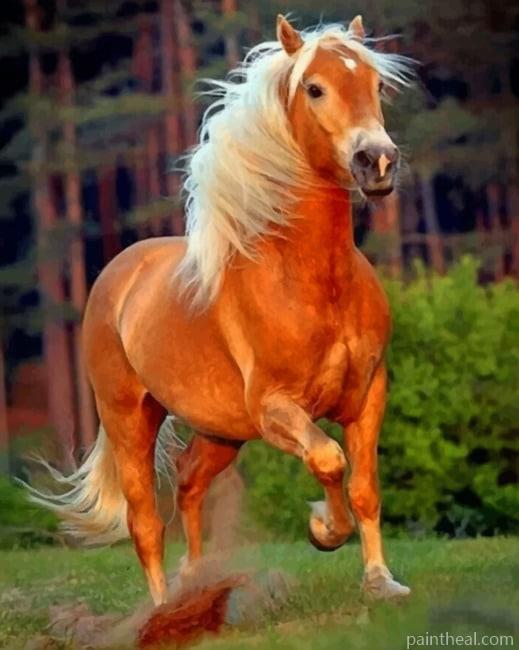 Brown Horse With White Hair Painting By Numbers Kits