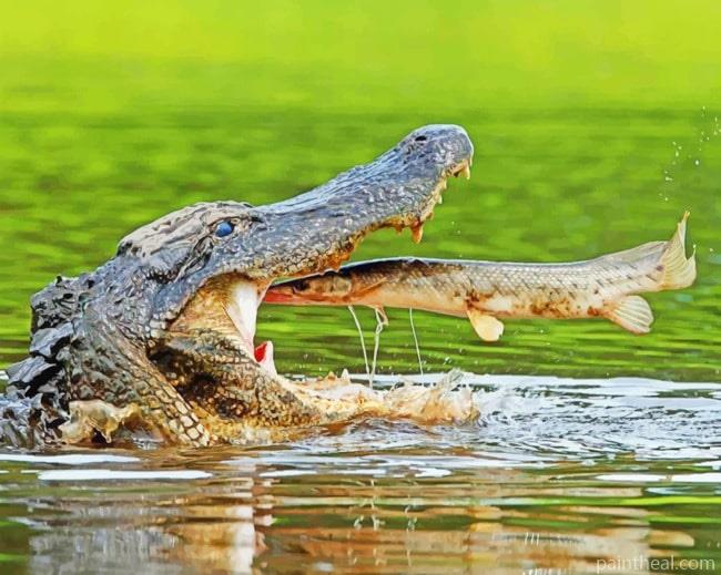 Alligator Hunting Fish Painting By Numbers Kits