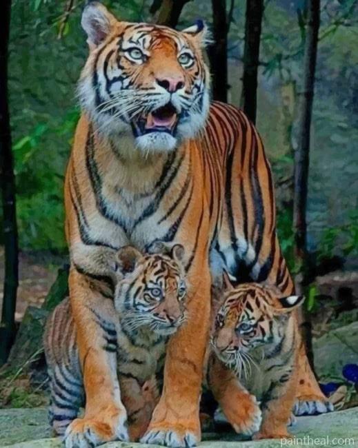 Tiger Mommy And Cubs Painting By Numbers Kits