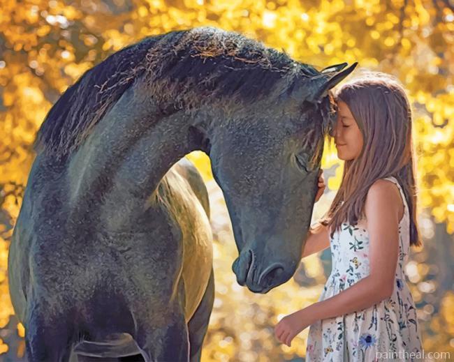 Girl And Black Horse Painting By Numbers Kits