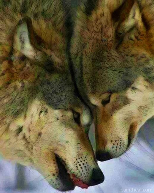 Wolves Couple Painting By Numbers Kits